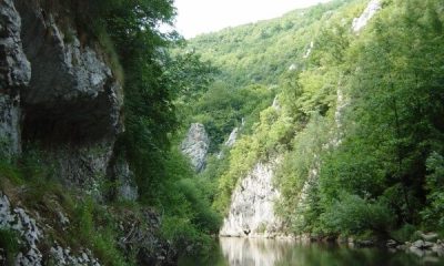 Cheile Nerei traseu – pereții de calcar jurasic și râul Nera în Parcul Național Cheile Nerei-Beușnița