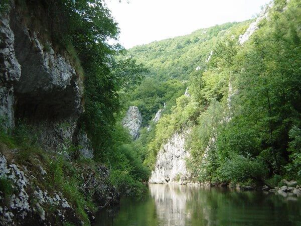 Cheile Nerei traseu – pereții de calcar jurasic și râul Nera în Parcul Național Cheile Nerei-Beușnița