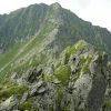 Munții Făgăraș ecoturism – Custura Săratii, creastă stâncoasă cu vegetație alpină în Carpații Meridionali