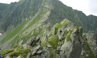 Munții Făgăraș ecoturism – Custura Săratii, creastă stâncoasă cu vegetație alpină în Carpații Meridionali