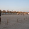 Plajă aproape goală cu umbrele de stuf pe litoralul românesc, minivacanța de Rusalii 2026