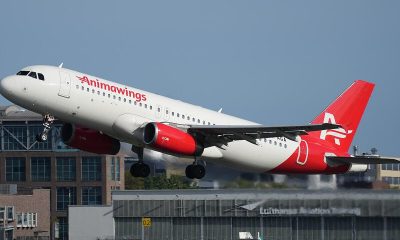 Aeronavă Airbus A320 AnimaWings la decolare, compania în care vor intra trei investitori instituționali