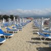 Plajele bulgărești preturi euro: șezlonguri și umbrele pe plaja din Sunny Beach
