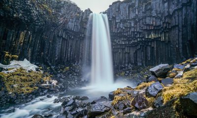 Cascada Svartifoss din Islanda, una dintre cele mai sigure țări din lume
