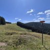 Stâlp indicator portocaliu Via Transilvanica pe o pajiște din ținutul Bucovina