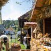 Vizitatori la Taste of Transylvania, în satul-muzeu Gyimesi Skanzen din Lunca de Jos