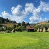 Țara Moților turism – peisaj rural cu căpițe de fân și case tradiționale din lemn în Munții Apuseni, zona Beliș