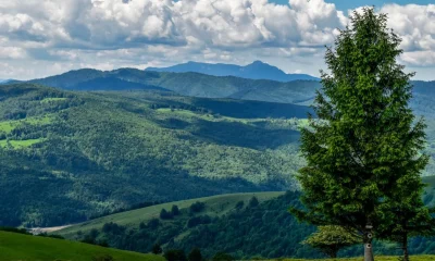 Peisaj montan din Parcul Natural Vânători Neamț, primul loc din România prezent pe Earth FM