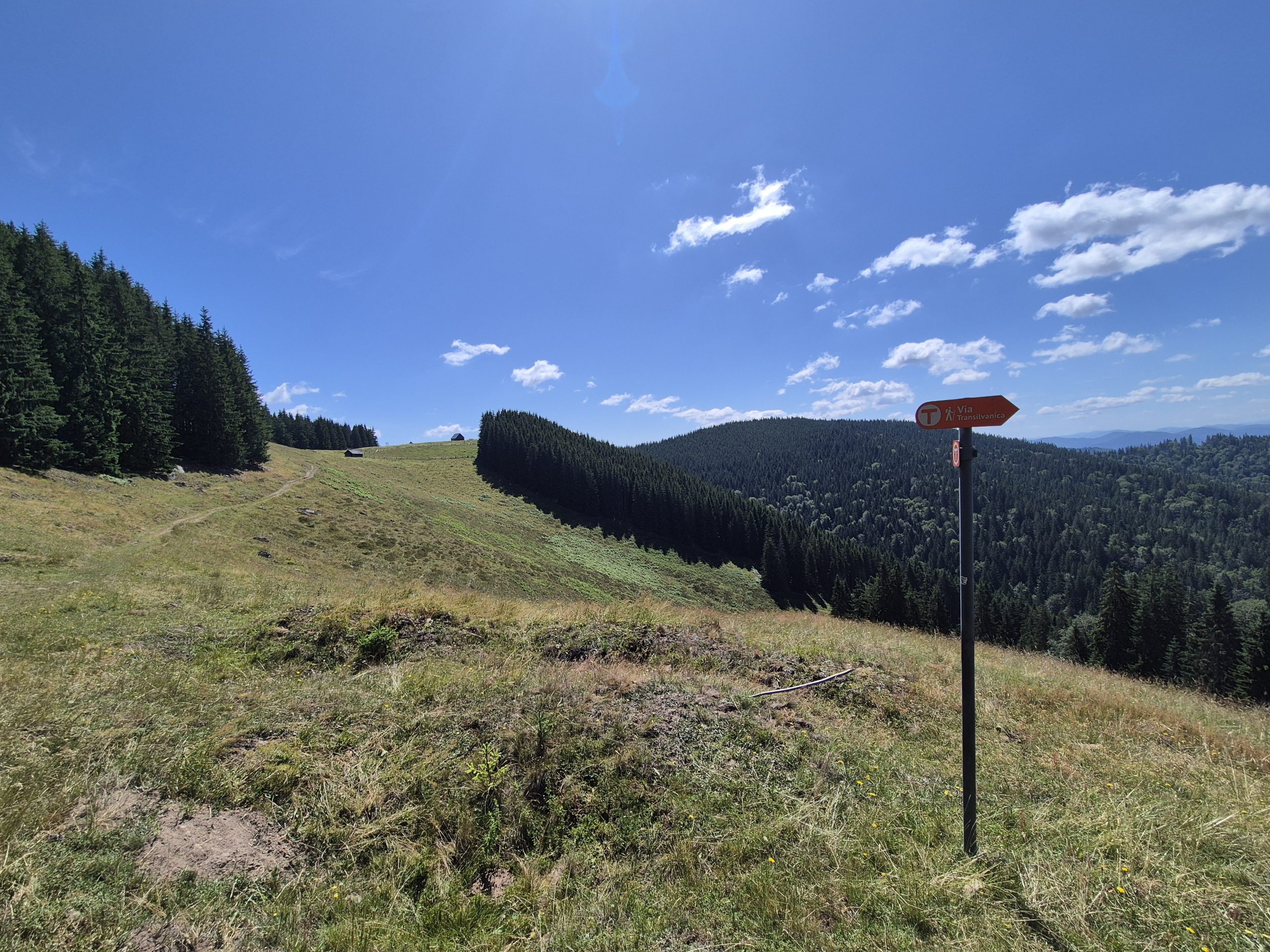 Stâlp indicator portocaliu Via Transilvanica pe o pajiște din ținutul Bucovina
