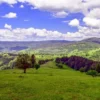 Pajiște și dealuri împădurite din Parcul Natural Vânători Neamț, sub un cer cu nori