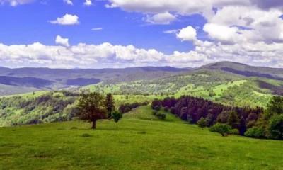 Pajiște și dealuri împădurite din Parcul Natural Vânători Neamț, sub un cer cu nori
