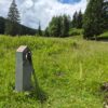 Bornă din andezit a traseului Via Transilvanica, cu inscripția Țara Dornelor, pe o pajiște de munte din Bucovina