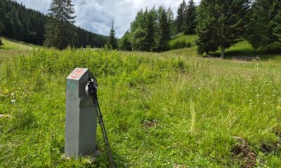 Bornă din andezit a traseului Via Transilvanica, cu inscripția Țara Dornelor, pe o pajiște de munte din Bucovina