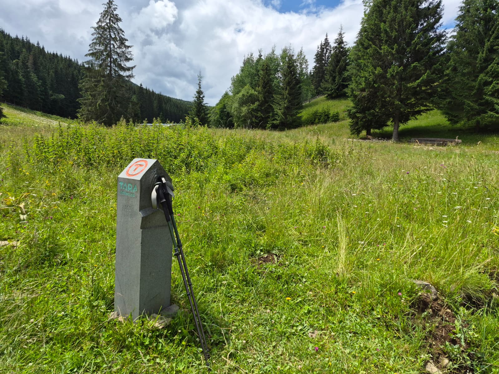 Bornă din andezit a traseului Via Transilvanica, cu inscripția Țara Dornelor, pe o pajiște de munte din Bucovina